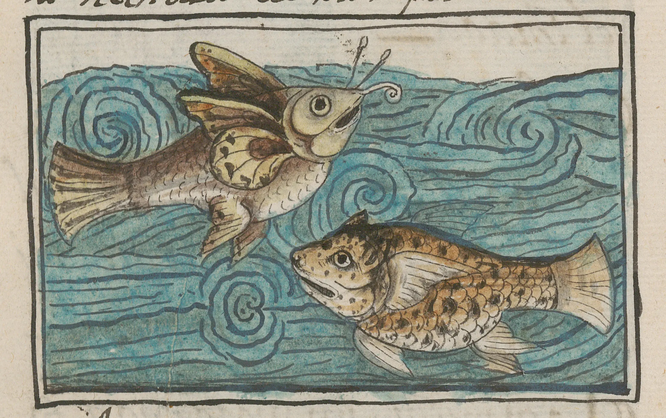 Picture of Florentine Codex